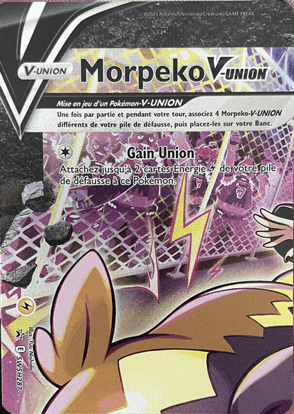 Morpeko V-UNION