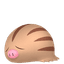 Marcacrin