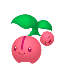 Ceribou