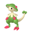 Chapignon