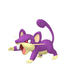 Rattata