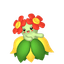 Joliflor