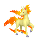 Galopa