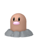 Taupiqueur