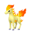 Ponyta
