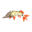 Hastacuda
