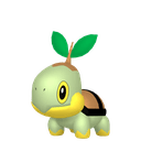 Tortipouss