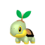 Tortipouss
