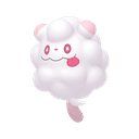 Sucroquin