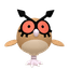 Hoothoot