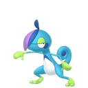 Arrozard