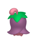 Ceriflor