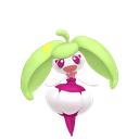 Candine