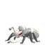 Fermite