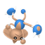 Kapoera