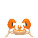 Krabby