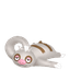 Parecool