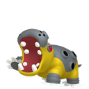 Hippodocus