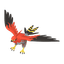 Flambusard