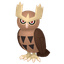 Noarfang
