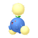 Cotovol
