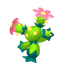 Maracachi