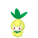 Chlorobule