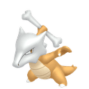 Ossatueur