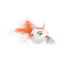 Poissirène