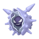 Crustabri