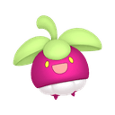Croquine
