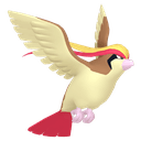 Roucarnage