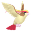 Roucarnage
