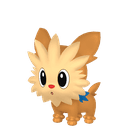 Ponchiot