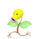 Chétiflor