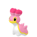 Sancoki